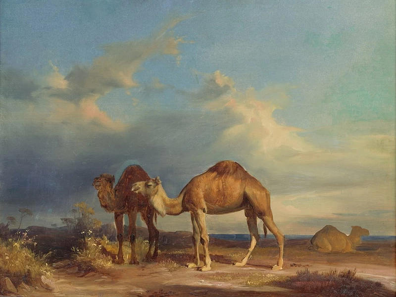 1793 - Via Karol Marko - Cammelli in un paesaggio meridionale - Galleria nazionale slovacca